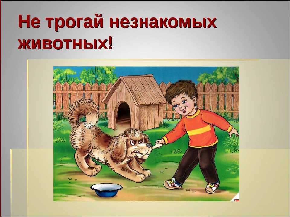 Игра-инсценировка «безопасность при общении с животными». воспитателям детских садов, школьным учителям и педагогам - маам.ру
