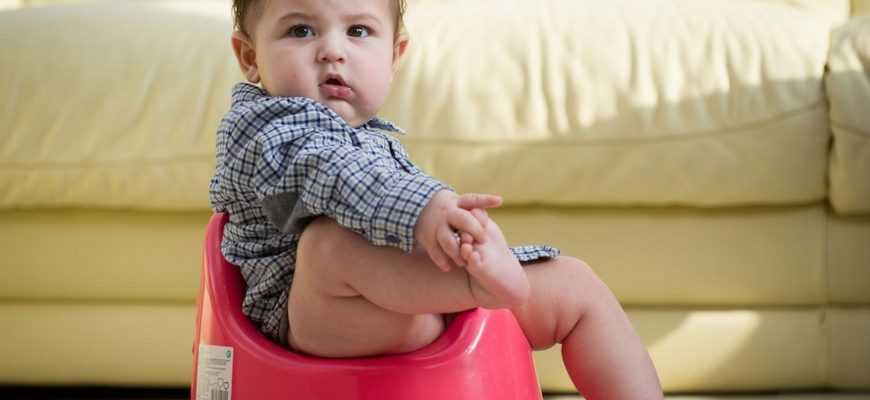 11 полезных советов, как приучить 3-летнего ребенка к горшку