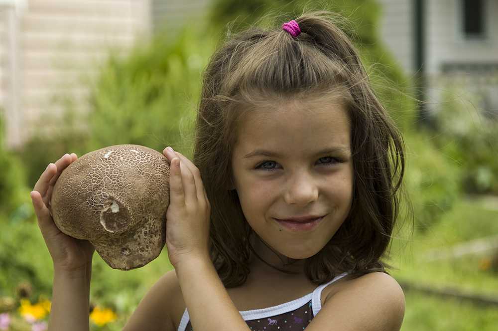 Можно ли давать ребенку грибы: с какого возраста, почему нельзя