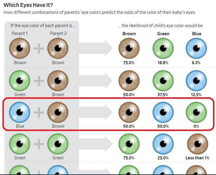 Формирование зрительной функции у детей