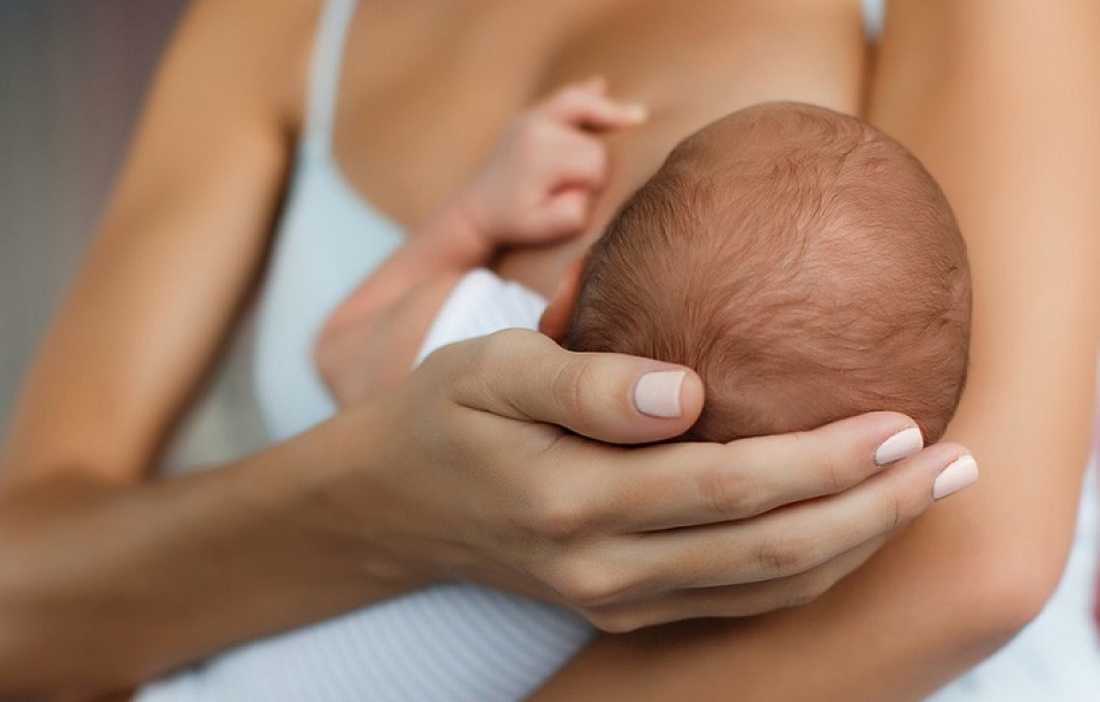 Правила грудного вскармливания новорожденного ребенка с первых дней жизни