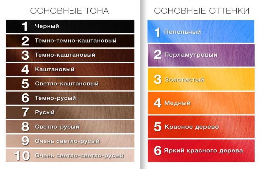 Как определить, какой цвет волос будет у ребенка