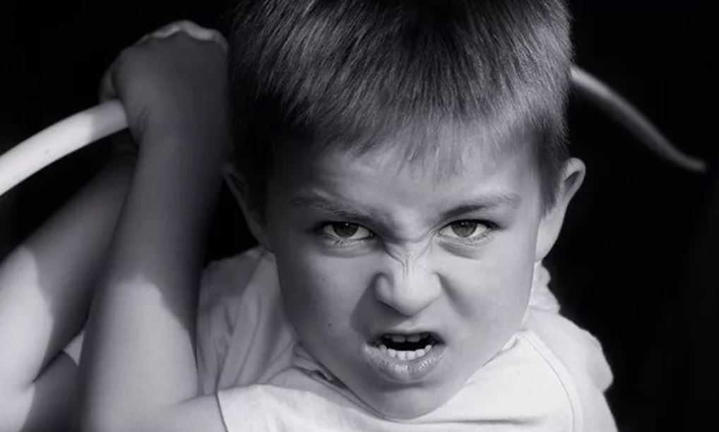 Эмоциональные проблемы у детей: агрессия, тревожность, страхи