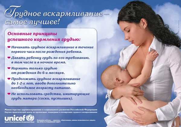 Мифы о грудном вскармливании (часть 2)   | материнство - беременность, роды, питание, воспитание