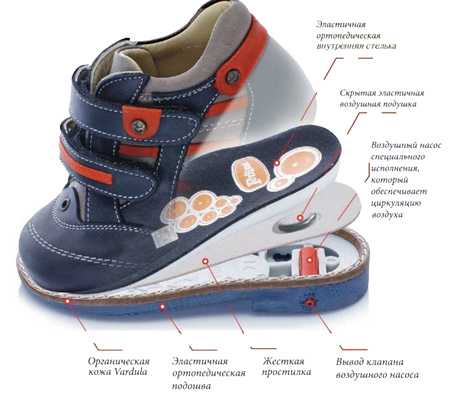 Как правильно выбрать обувь для ребенка от 1 до 2-х лет? - мапапама.ру — сайт для будущих и молодых родителей: беременность и роды, уход и воспитание детей до 3-х лет