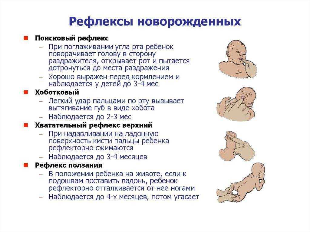 Ожирение у детей. возрастные этапы развития. 0-12 месяцев