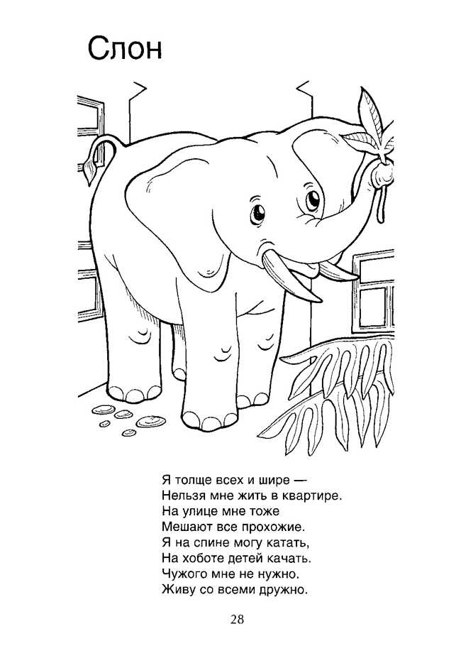 Символ «слон» в доме по фен-шуй
