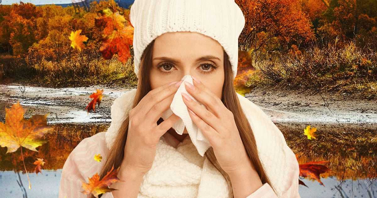 Ещё не осень, но уже не лето: как бороться с межсезонной простудой? | здоровье:медицина | здоровье | аиф иркутск