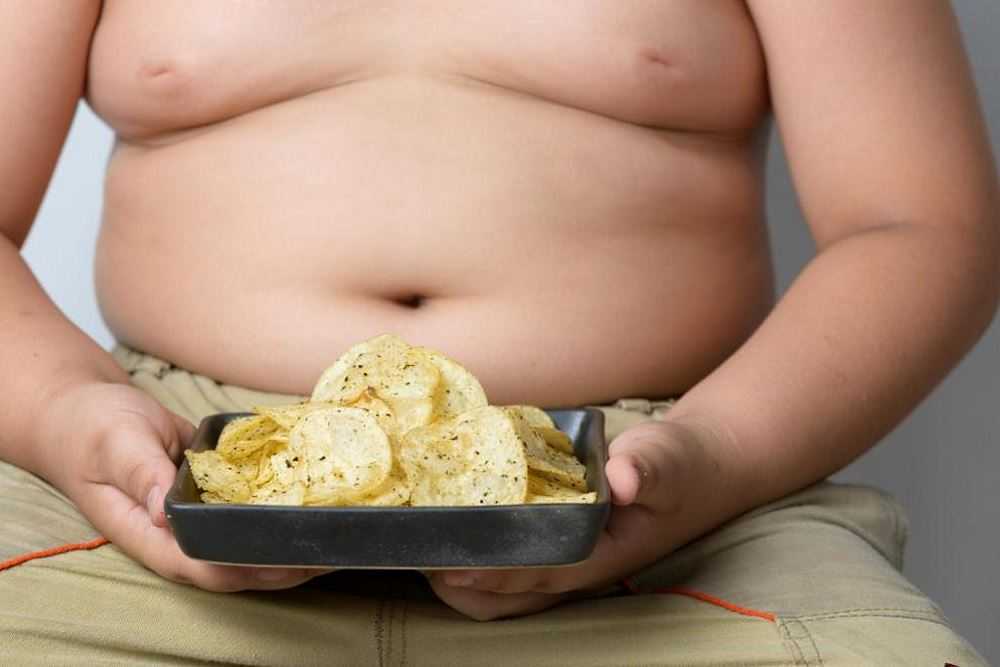 Тучное будущее. чем опасно детское ожирение