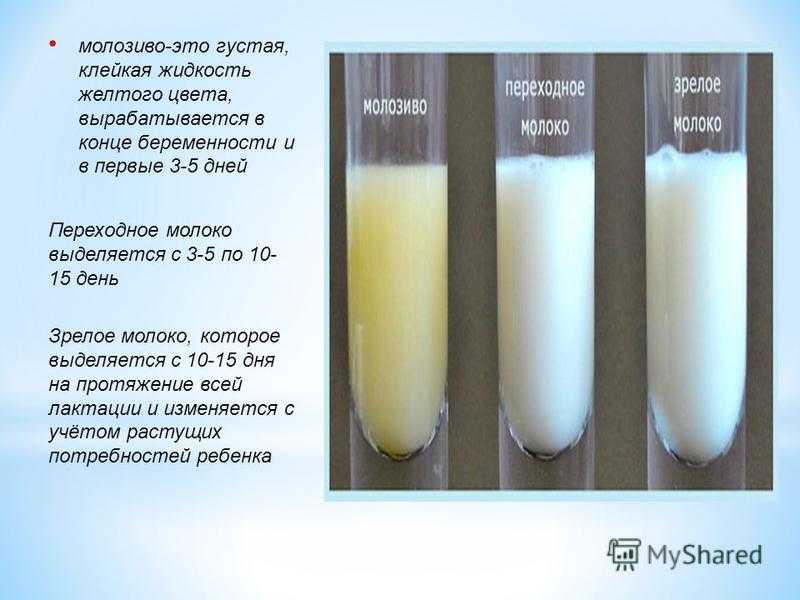 Молоко из груди беременность