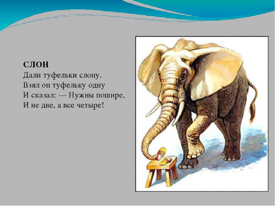 Загадки про слона - развитие и обучение для детей мама7я