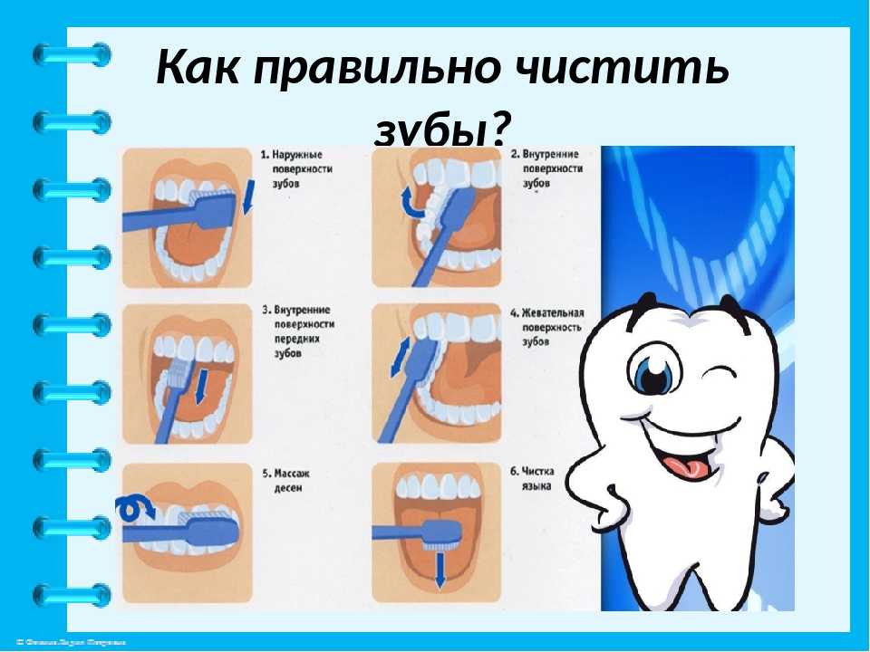 Некоторые особенности анатомии полости зуба и корневых каналов