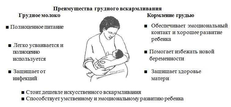 Релактация, или возвращение на грудь   | материнство - беременность, роды, питание, воспитание